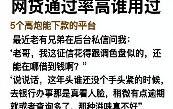 网贷通过率高谁用过，归纳5个高炮能下款的平台