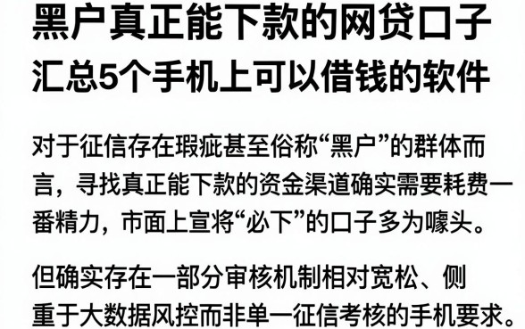 黑户真正能下款的网贷口子,汇总5个手机上可以借钱的软件