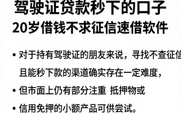 驾驶证贷款秒下的口子,汇总五个20岁借钱不求征信速借软件