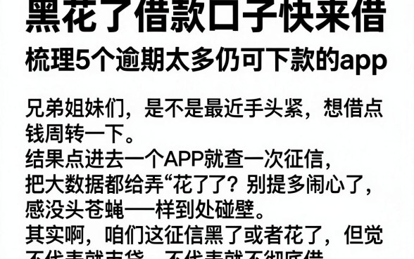 黑花了借款口子快来借,梳理5个逾期太多仍可下款的app