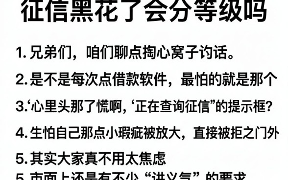 征信黑花了会分等级吗,概括5个看银行流水的网贷软件