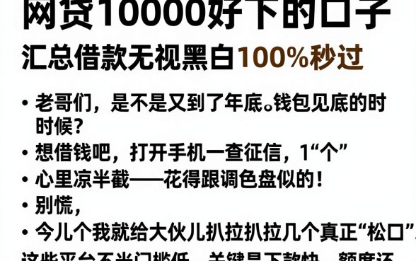网贷10000好下的口子,汇总五个借款无视黑白100%秒过