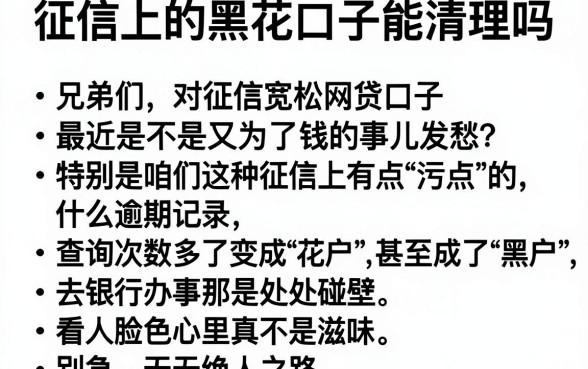 征信上的黑花口子能清理吗,整合5个对征信宽松的网贷口子