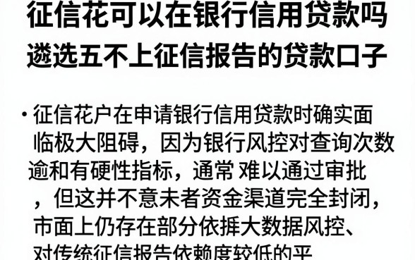 征信花可以在银行信用贷款吗,遴选五个不上征信报告的贷款口子