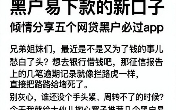黑户易下款的新口子,倾情分享五个网贷黑户必过app