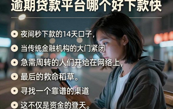 逾期贷款平台哪个好下款快,罗列五个夜间秒下款的14天口子