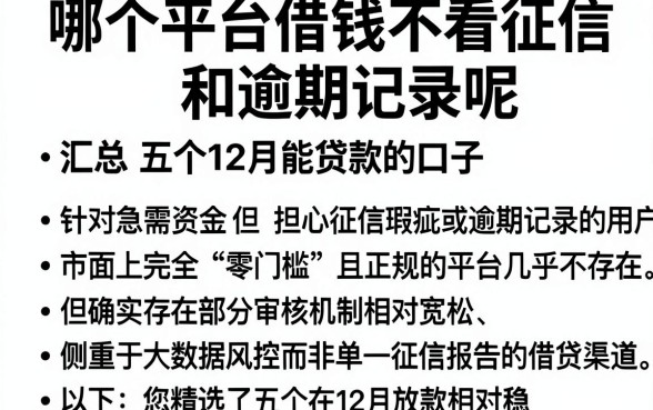 哪个平台借钱不看征信和逾期记录呢,汇总五个12月能贷款的口子