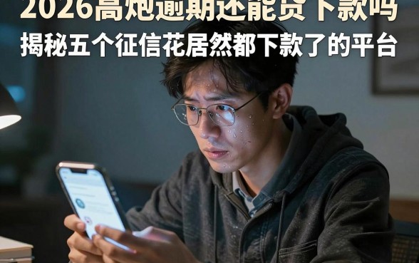 2026高炮逾期还能贷下款吗，揭秘五个征信花居然都下款了的平台