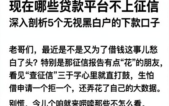 现在哪些贷款平台不上征信,深入剖析5个无视黑白户的下款口子