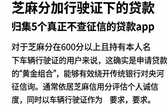 芝麻分加行驶证下的贷款,归集5个真正不查征信的贷款app