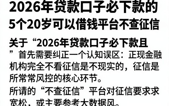 2026年贷款口子必下款的,详尽说明5个20岁可以借钱平台不查征信的口子