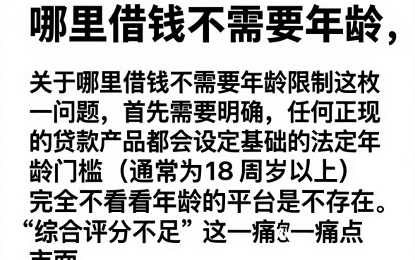 哪里借钱不需要年龄,枚举5个综合评分不足也能下款的网贷