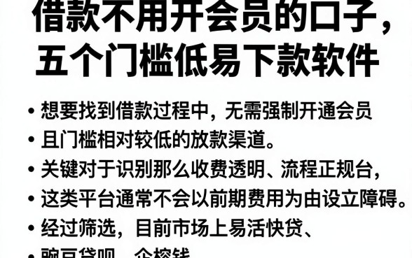 借款不用开会员的口子,归纳五个门槛低易下款软件