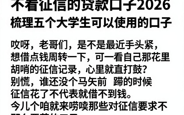 不看征信的贷款口子2026，梳理五个大学生可以使用的口子
