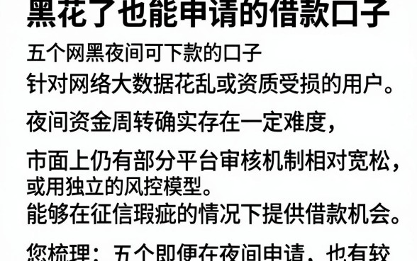 黑花了也能申请的借款口子,详细阐述五个网黑夜间可下款的口子