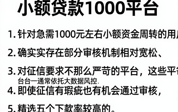 小额贷款1000平台,条列5个网贷无视不查征信平台