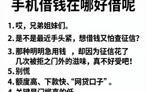 手机借钱在哪好借呢,条列五个黑户都能下的app