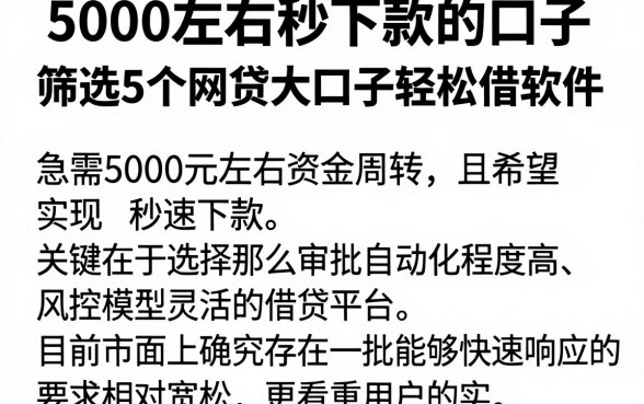 5000左右秒下款的口子，筛选5个网贷大口子轻松借软件