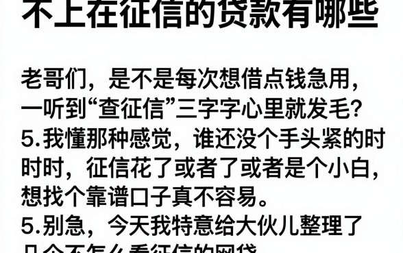不上在征信的贷款有哪些，详细阐述5个能百分百通过的网贷软件