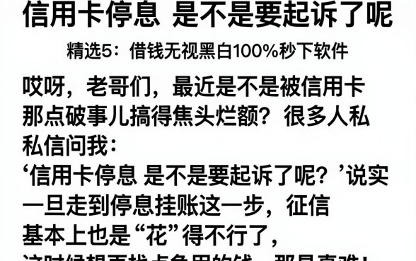 信用卡停息是不是要起诉了呢，精选5个借钱无视黑白100%秒下软件