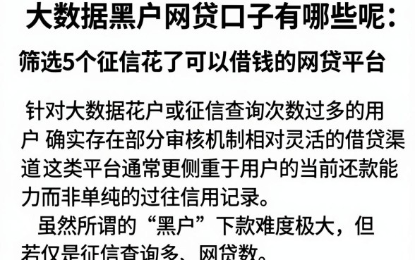 大数据黑户网贷口子有哪些呢，筛选5个征信花了可以借钱的网贷平台