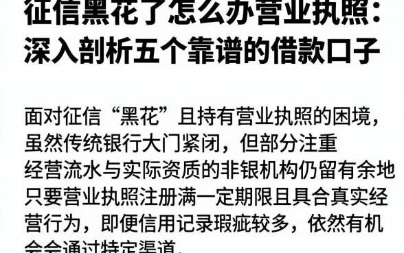 征信黑花了怎么办营业执照,深入剖析五个靠谱的借款口子