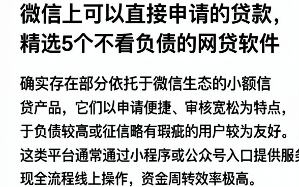 微信上可以直接申请的贷款,精选5个不看负债的网贷软件