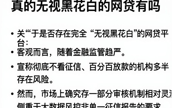 真的无视黑花白的网贷有吗,条列五个极速审核的网贷平台