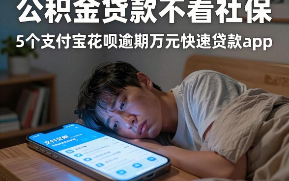 公积金贷款不看社保,概览5个支付宝花呗逾期万元快速贷款app