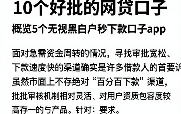 10个好批的网贷口子,概览5个无视黑白户秒下款口子app