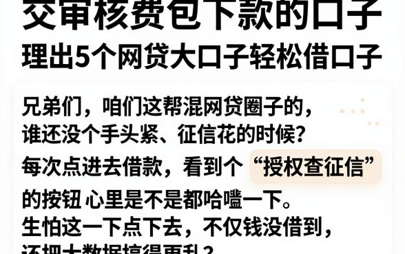 交审核费包下款的口子,理出5个网贷大口子轻松借口子