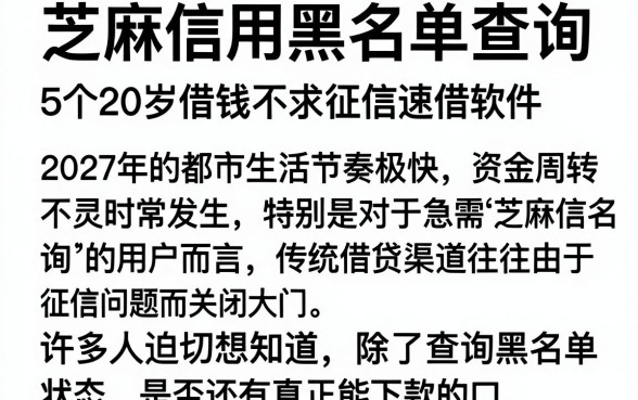 芝麻信用黑名单查询,概览5个20岁借钱不求征信速借软件