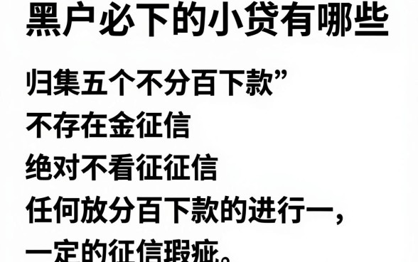 黑户必下的小贷有哪些,归集五个不看征信无视黑白百分百下款口子