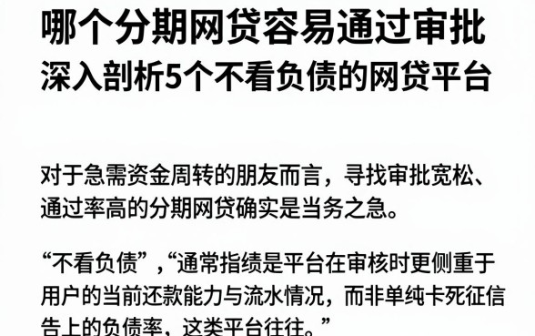哪个分期网贷容易通过审批,深入剖析5个不看负债的网贷平台