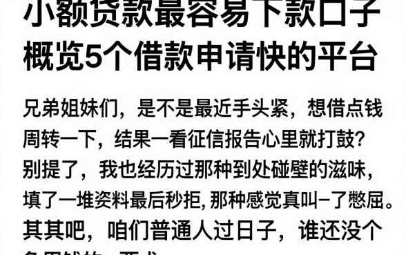小额贷款最容易下款口子,概览5个借款申请快的平台