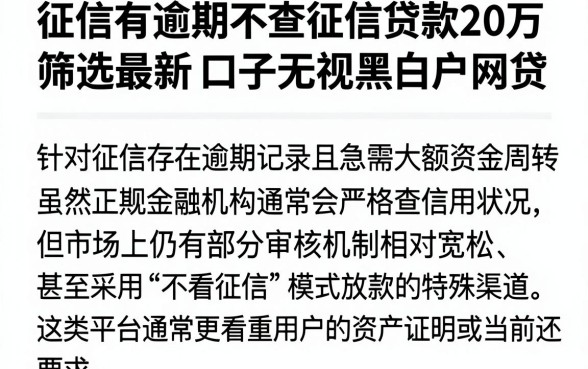 征信有逾期不查征信贷款20万,筛选五个最新口子无视黑白户网贷
