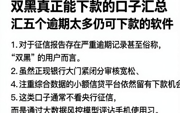 双黑真正能下款的口子汇总,汇总五个逾期太多仍可下款的软件