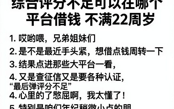 综合评分不足可以在哪个平台借钱不满22周岁，罗列5个借款申请快的平台