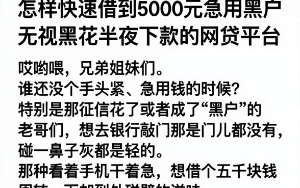 怎样快速借到5000元急用黑户,理出五个无视黑花半夜下款的网贷平台