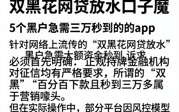 双黑花网贷放水口子魔,详细阐述5个黑户急需三万秒到的的app