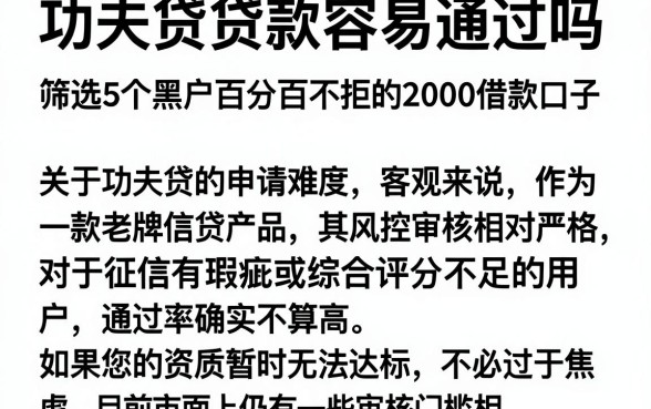 功夫贷贷款容易通过吗,筛选5个黑户百分百不拒的2000借款口子