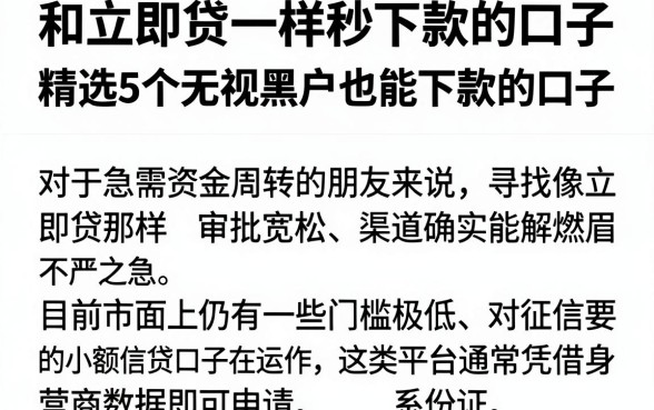 和立即贷一样秒下款的口子，精选5个无视黑户也能下款的口子