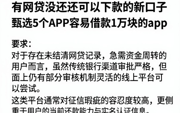 有网贷没还还可以下款的新口子,甄选5个APP容易借款1万块的app