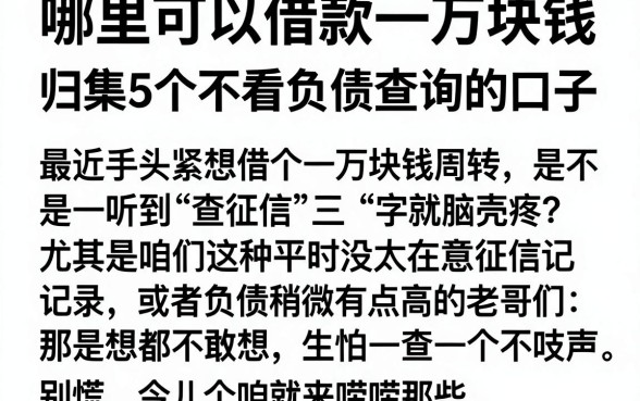 哪里可以借款一万块钱，归集5个不看负债查询的口子
