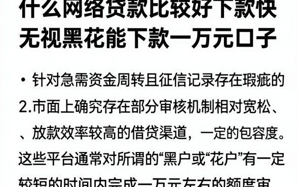 什么网络贷款比较好下款快,梳理五个无视黑花能下款一万元口子