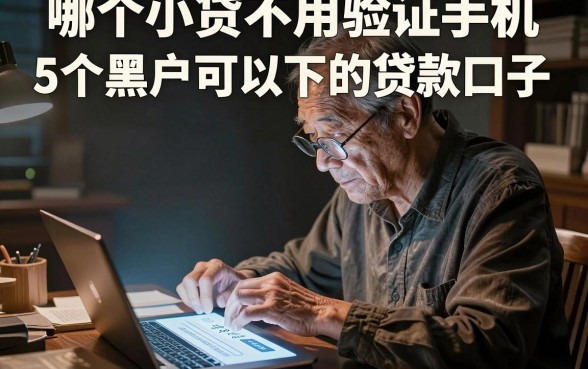 哪个小贷不用验证手机,详尽说明5个黑户可以下的贷款口子