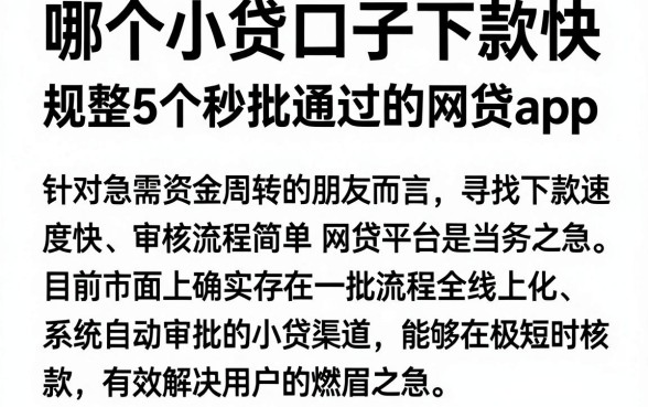 哪个小贷口子下款快，规整5个秒批通过的网贷app