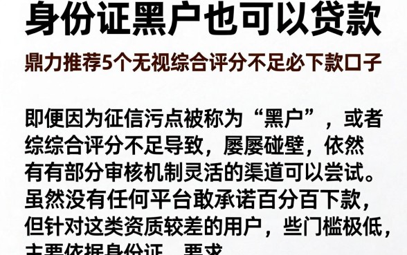 身份证黑户也可以贷款，鼎力推荐5个无视综合评分不足必下款口子