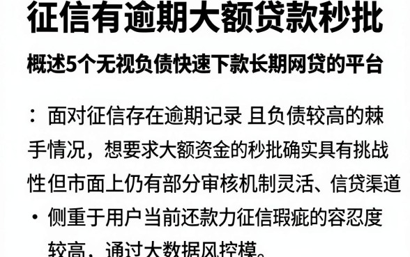 征信有逾期大额贷款秒批，概括5个无视负债快速下款长期网贷的平台