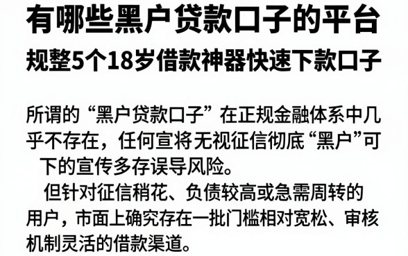 有哪些黑户贷款口子的平台,规整5个18岁借款神器快速下款口子